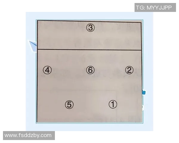 从零起步掌握排球配合技巧与战术全解析