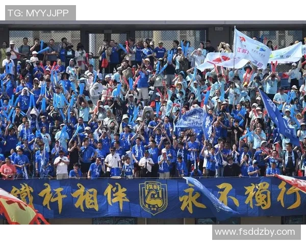 南京排球队运营策略深度分析与发展前景展望