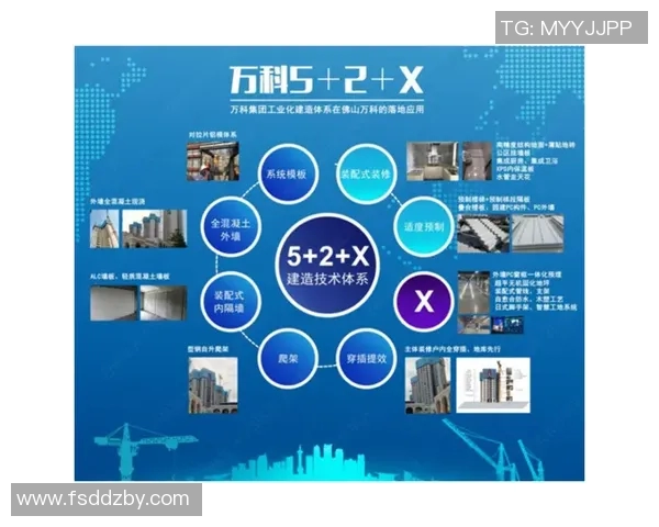 重磅专题：探索成都滑板队如何实现全面转型与创新发展之路